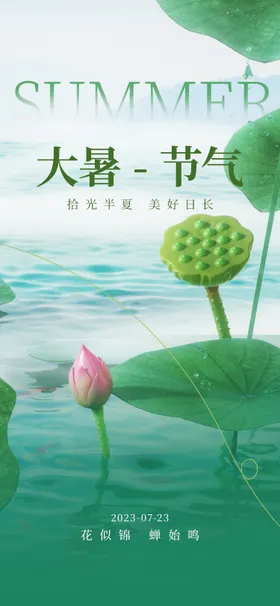 大暑节气海报湖面清凉小荷花