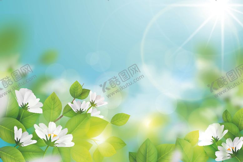 编号：93672710240808004195【酷图网】源文件下载-花图片