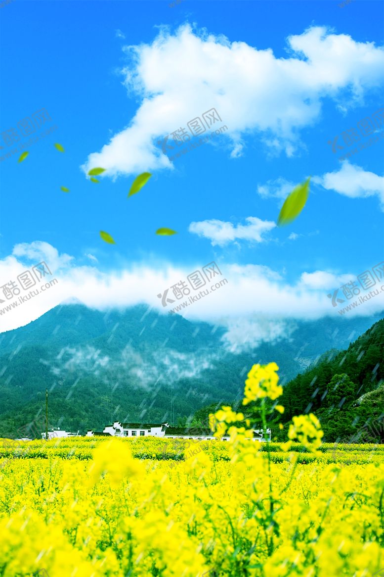 编号：14334207132335377009【酷图网】源文件下载-油菜花
