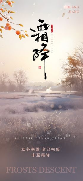 霜降海报房地产二十四节气柿子