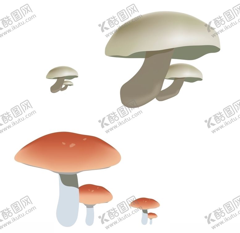 编号：11624106231948199063【酷图网】源文件下载-秋季蘑菇森林树丛蘑菇矢量可爱