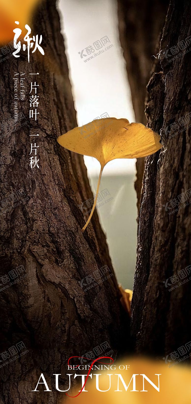 编号：23072607211239332972【酷图网】源文件下载-立秋宣传海报 