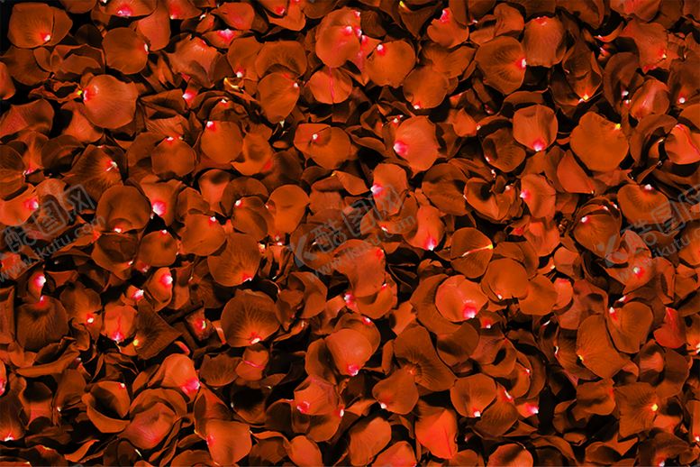 编号：19843709220914067176【酷图网】源文件下载-浪漫素材