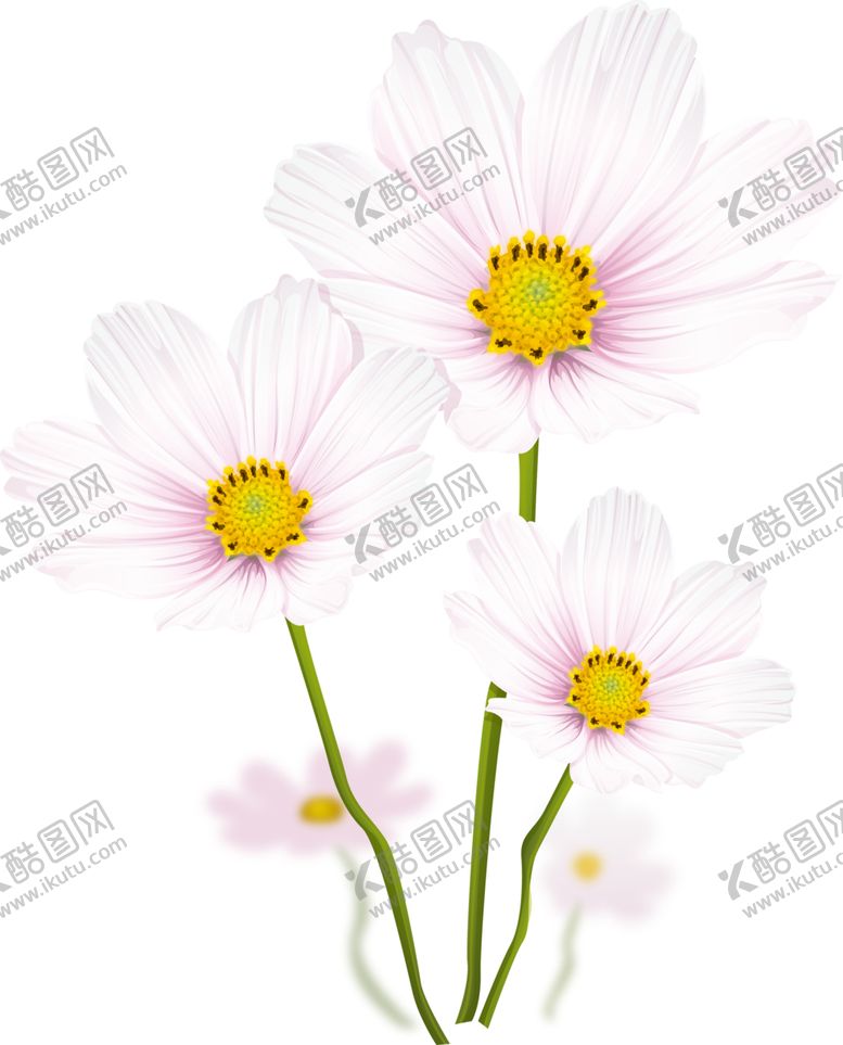 编号：79473809212118261863【酷图网】源文件下载-鲜花素材