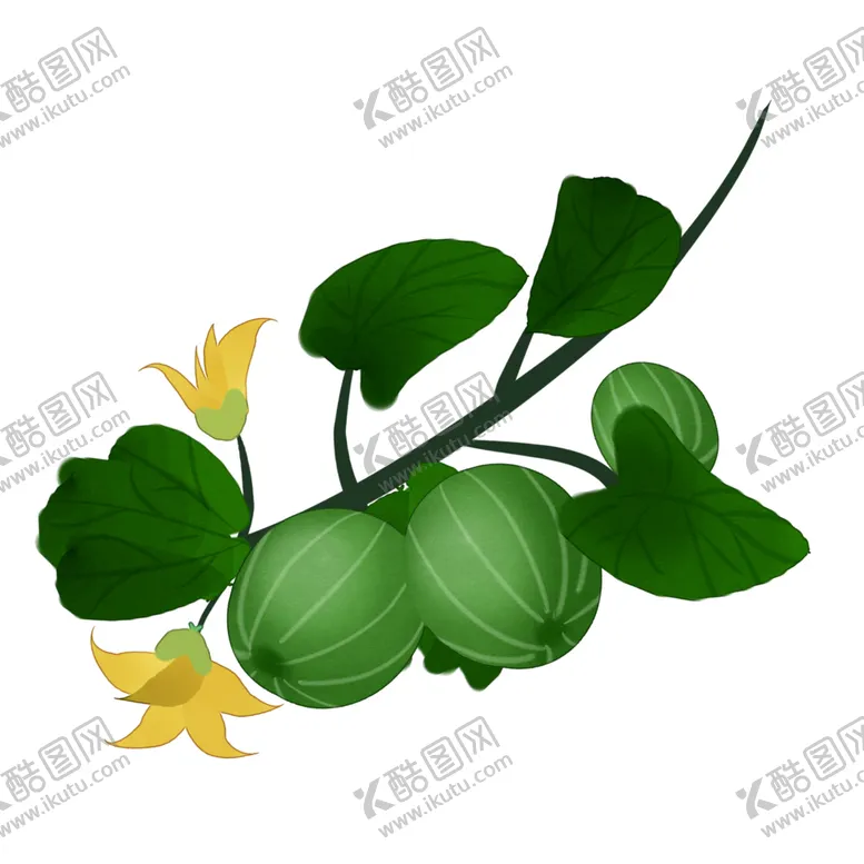 编号：27880804191434231008【酷图网】源文件下载-草本植物药材