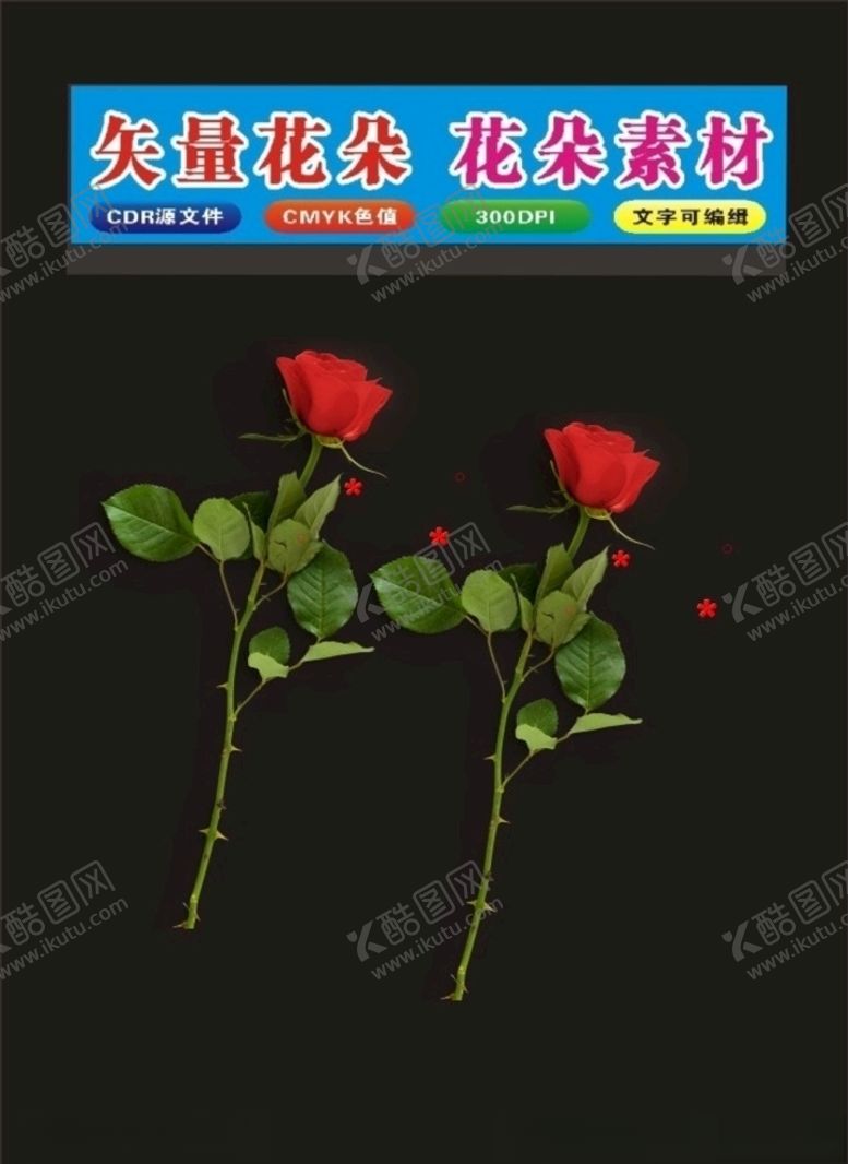 编号：37824407091726345853【酷图网】源文件下载-玫瑰花素材