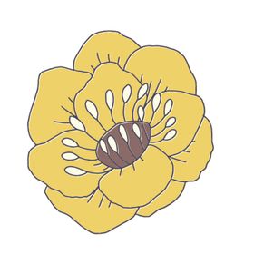 花朵蝴蝶卡通图案