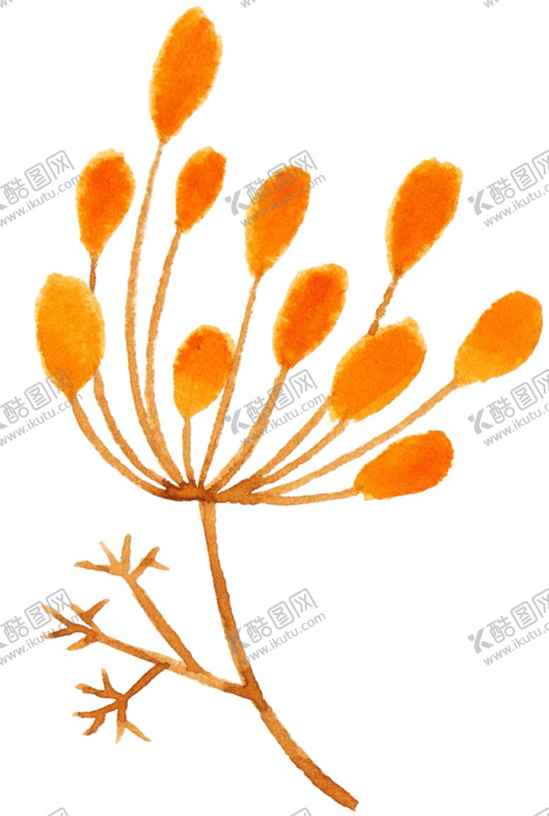 编号：23769409270541554788【酷图网】源文件下载-水彩植物