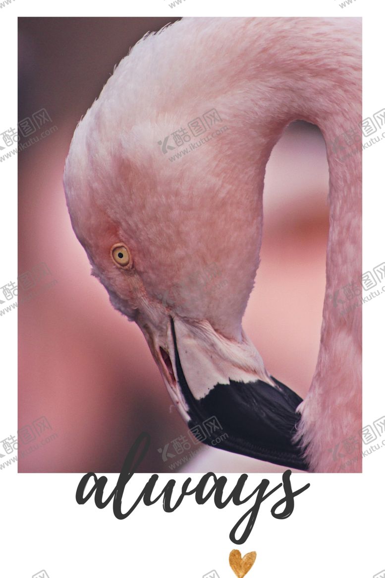 编号：69438809201838401729【酷图网】源文件下载-简约现代装饰画