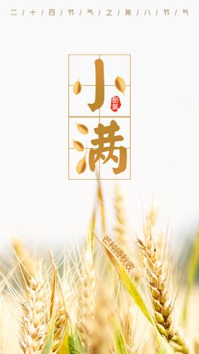 小满创意毛笔字