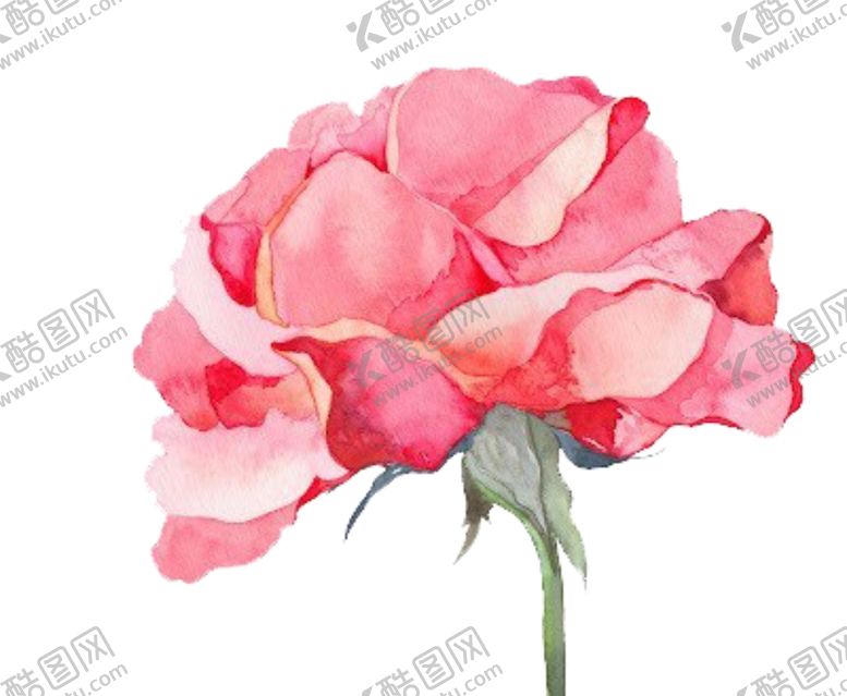 编号：47372301262211384755【酷图网】源文件下载-花朵 