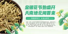 金银花海报