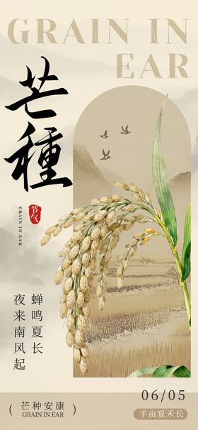 稻穗插画感受农种之美