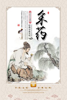 中医文化宣传展板