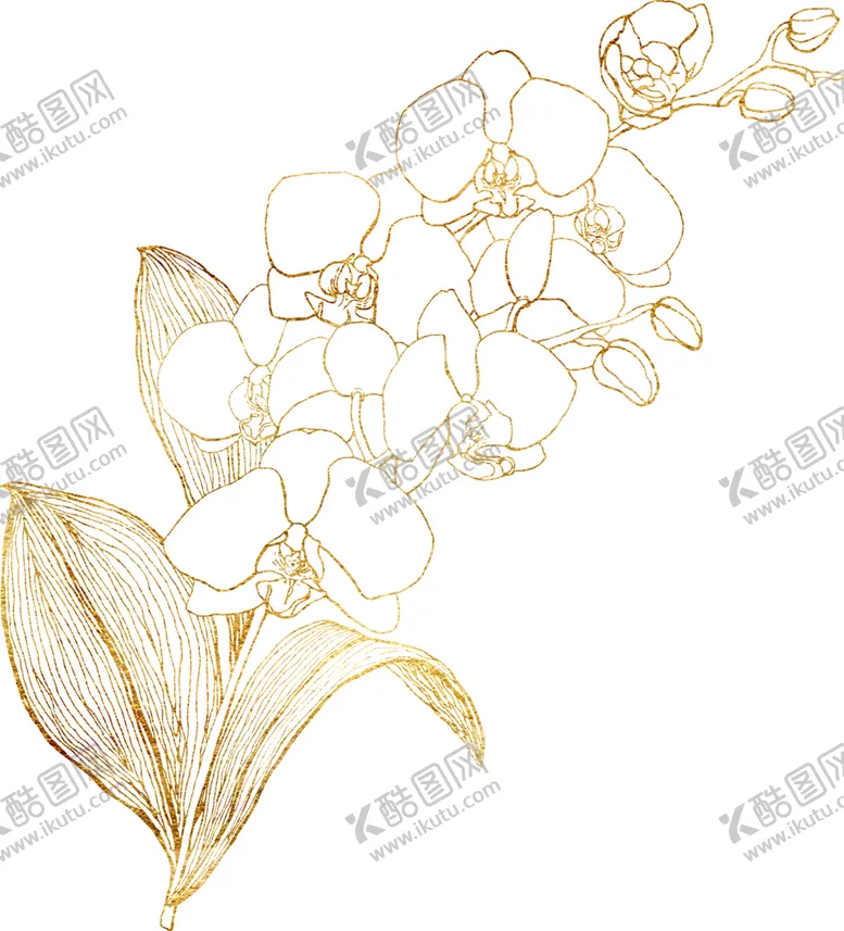 编号：94521306300843036401【酷图网】源文件下载-植物花朵装饰图案
