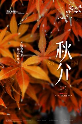 秋分