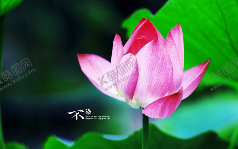 编号：42014109152306536692【酷图网】源文件下载-大自然风景