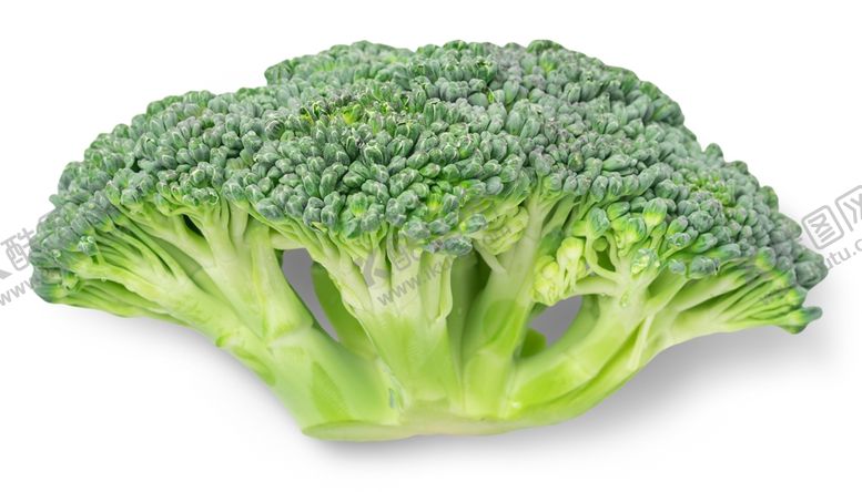 编号：34218809210654373518【酷图网】源文件下载-西兰花