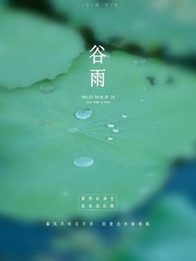 谷雨