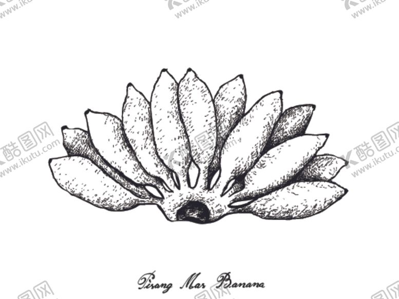 编号：30666609290608029578【酷图网】源文件下载-素描水果