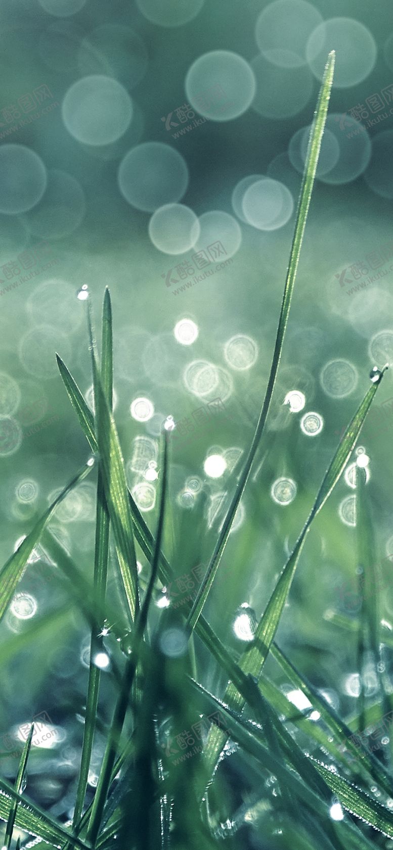 编号：60006009230121334533【酷图网】源文件下载-手机壁纸