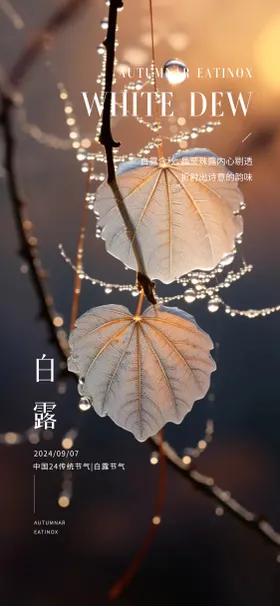 白露节气海报树叶珠二十四