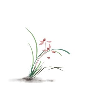 兰花水墨