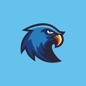 雄鹰LOGO