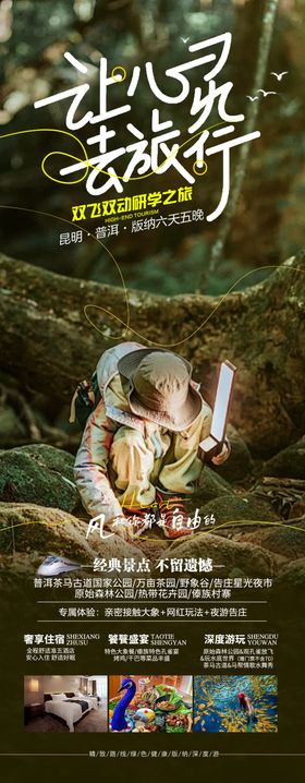 版纳旅游研学海报