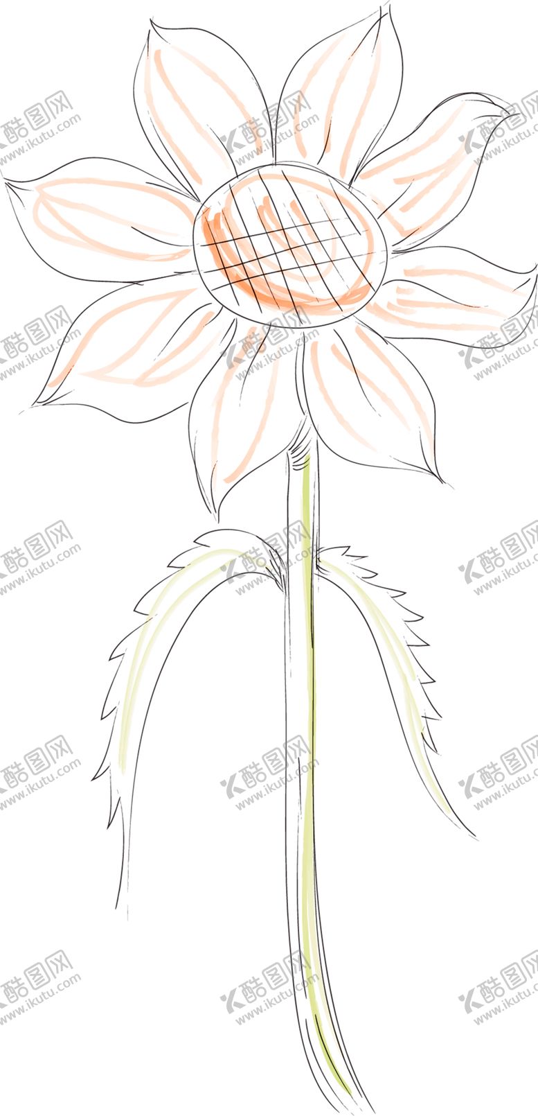 编号：54687209191745576401【酷图网】源文件下载-花素材