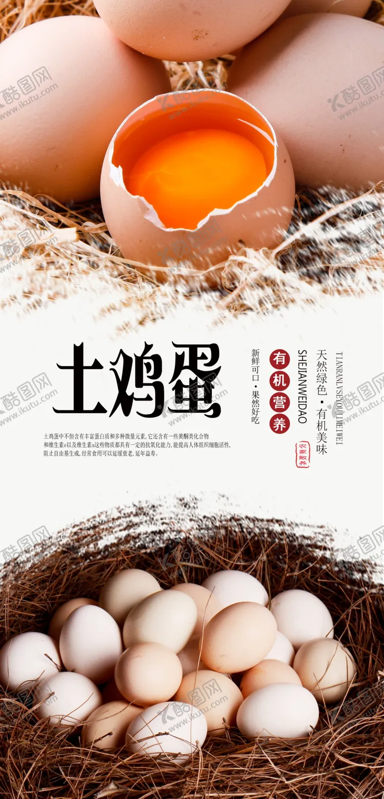编号：73014606301148389797【酷图网】源文件下载-土鸡蛋PSD分层海报