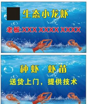 龙虾名片