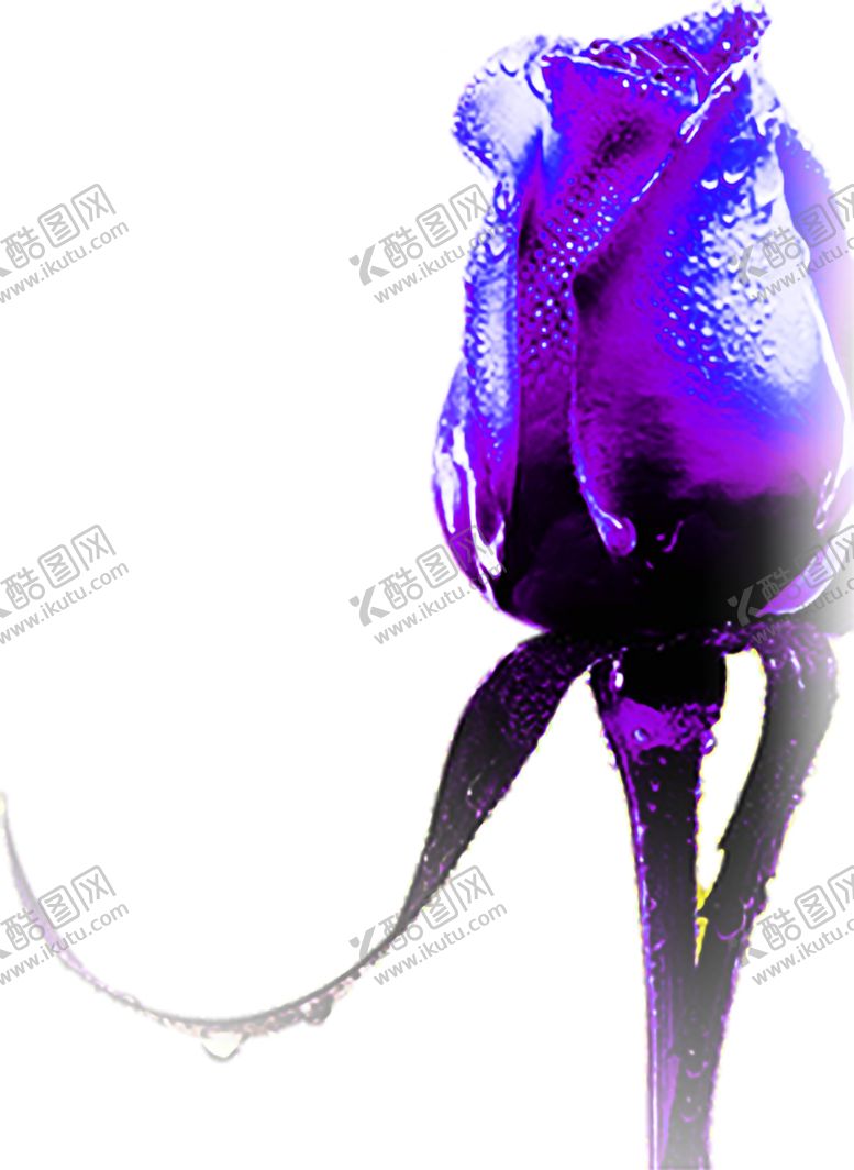 编号：34899409230358283934【酷图网】源文件下载-花素材