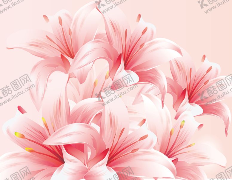 编号：36460109292036078087【酷图网】源文件下载-水仙花百合花粉红色花朵