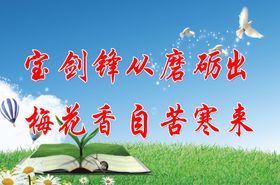 宝剑锋从磨砺出