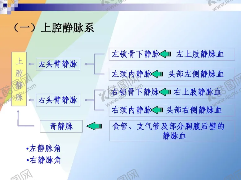 编号：52180201182000306480【酷图网】源文件下载-静脉