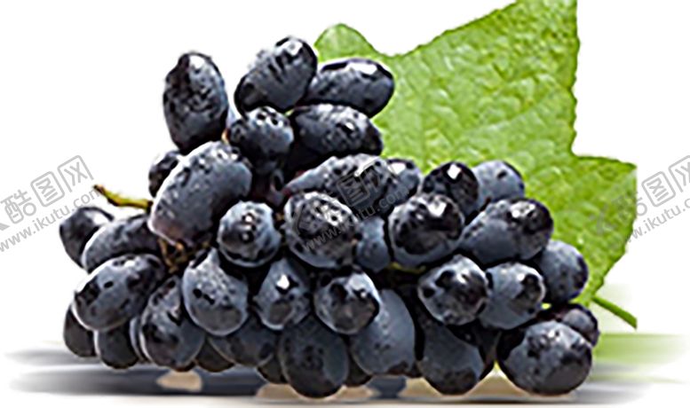 编号：27869810100013118373【酷图网】源文件下载-水果