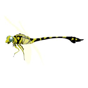 蜻蜓昆虫图片插画