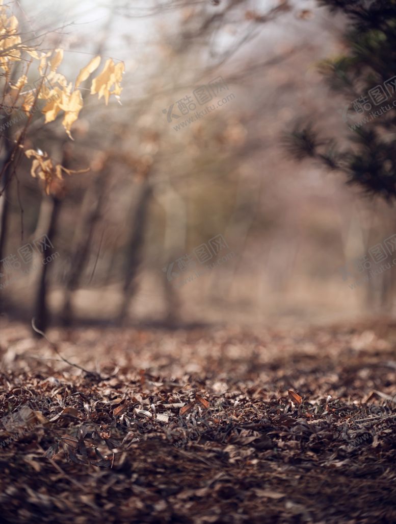 编号：48134609141934017460【酷图网】源文件下载-风景