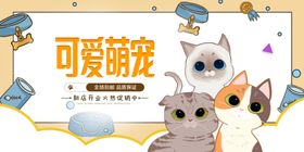 萌宠可爱猪