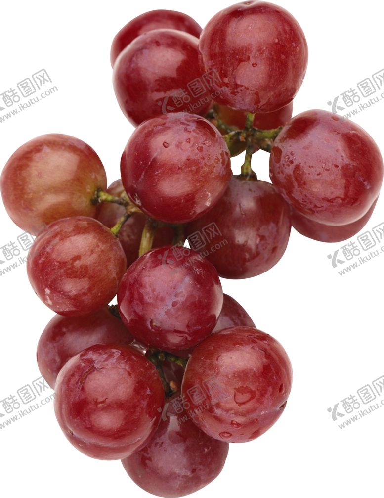 编号：47449810310936306735【酷图网】源文件下载-葡萄