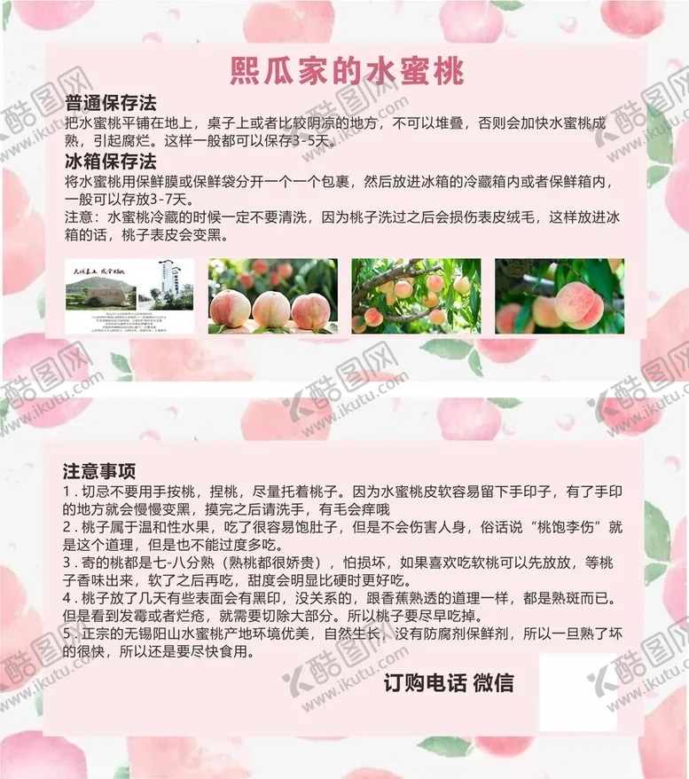 编号：50847001281731505129【酷图网】源文件下载-水蜜桃卡片