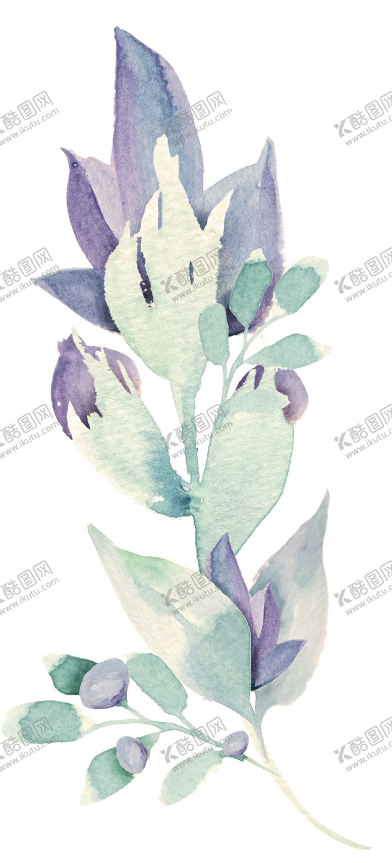 编号：21945007042217489827【酷图网】源文件下载-欧式花纹