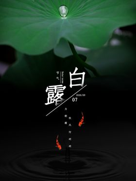 白露海报气候二十四节气气节