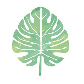 绿色水彩植物树叶