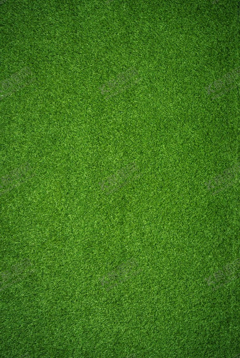 编号：91287311020221361245【酷图网】源文件下载-绿色草皮