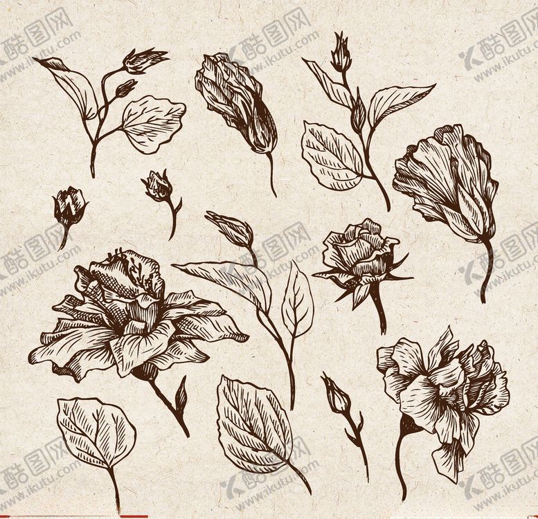 编号：21839607040642007378【酷图网】源文件下载-矢量动物矢量植物插画手绘