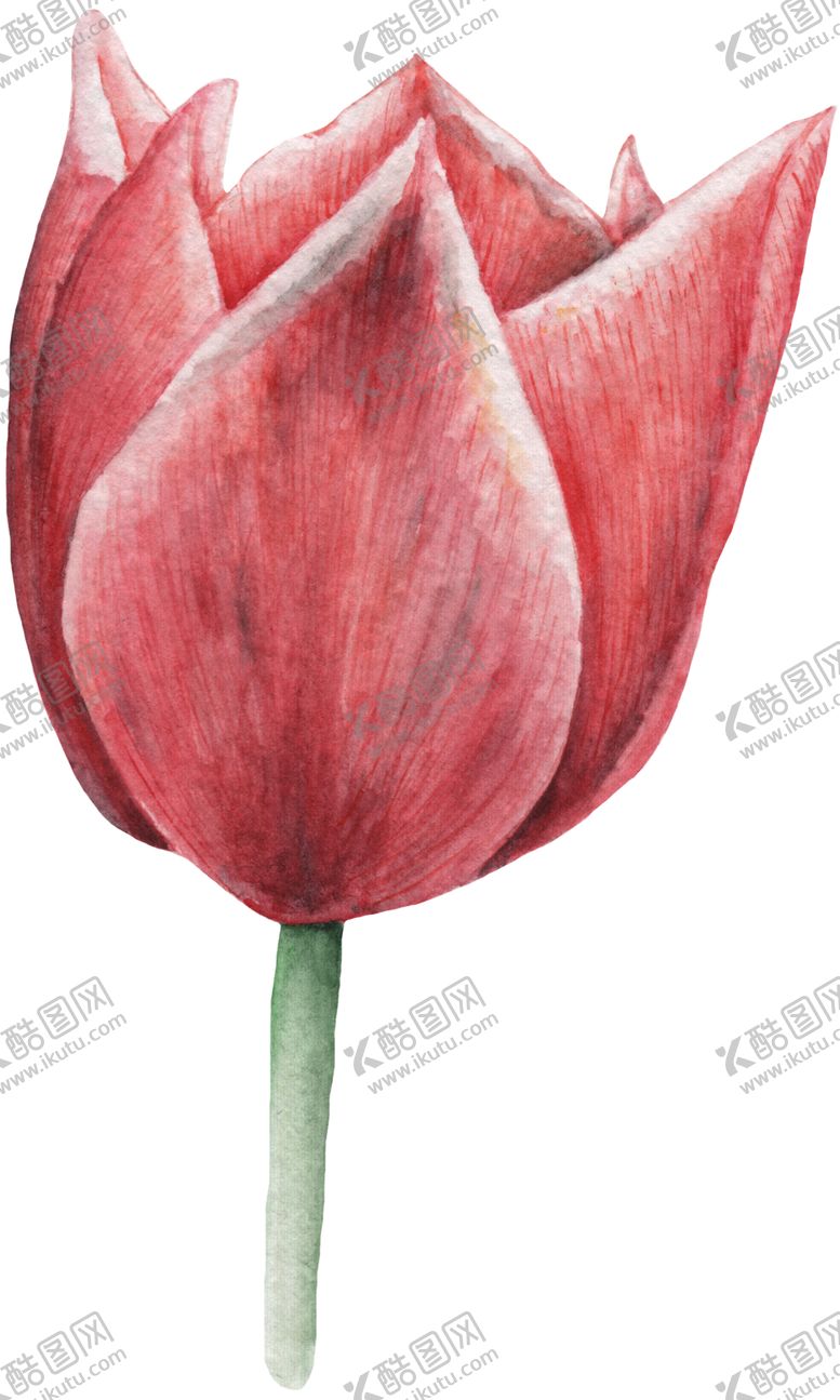 编号：64060602150926475746【酷图网】源文件下载-手绘植物花草