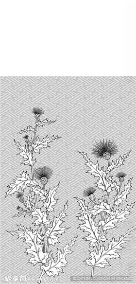 日本线描植物花卉矢量素材
