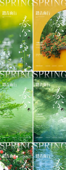 春分节气海报天蝴蝶二十四树枝